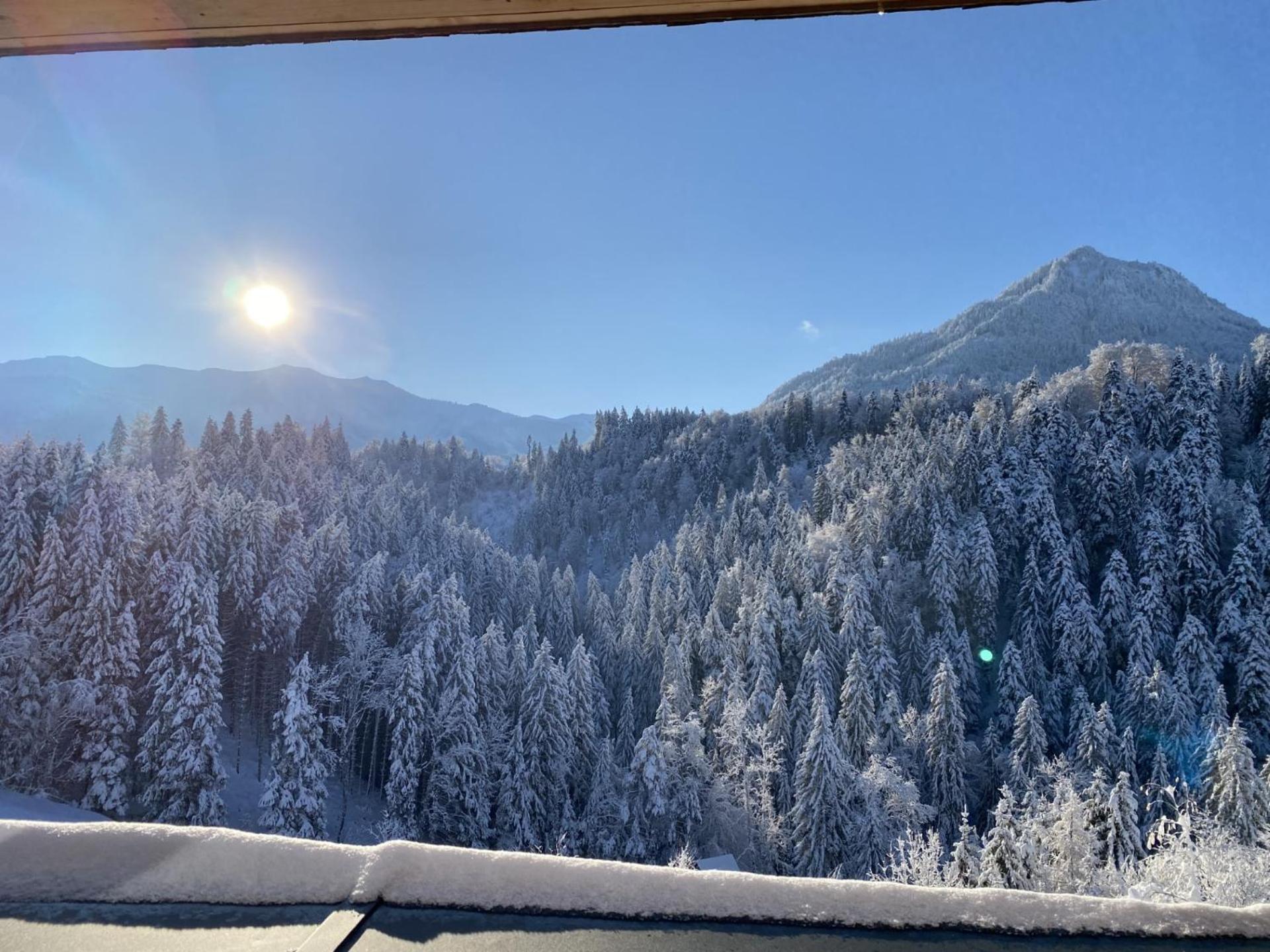 Wohnung Staufenblick Und Wohnung Firstblick Ντορνμπίρν Εξωτερικό φωτογραφία